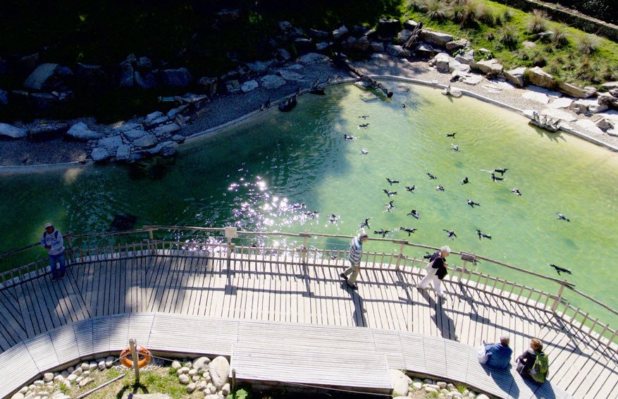 Arboretum de l'Étoile des Andaines, Champsecret, France, France